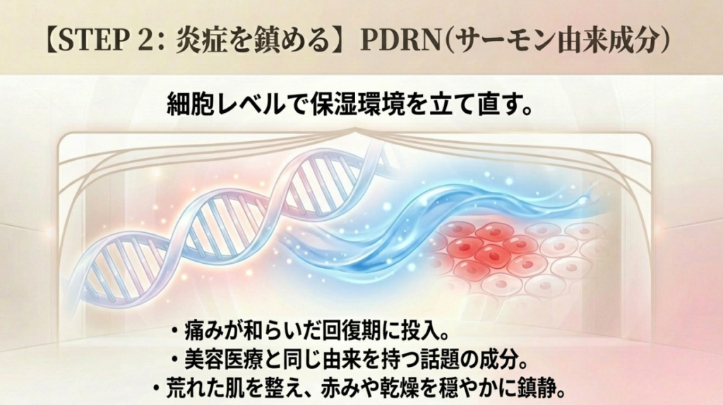 PDRNが50代の肌再生に効果的な理由