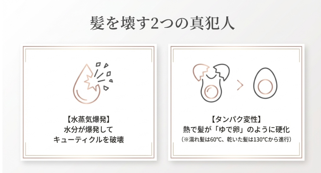 「ジュッ」は危険！水蒸気爆発とタンパク変性が痛む元凶